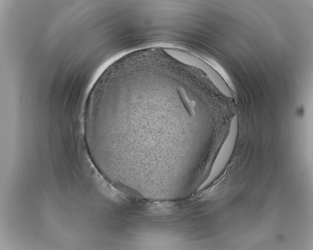 X0000090471148200707272253