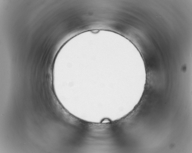 X0000090471150200707272253