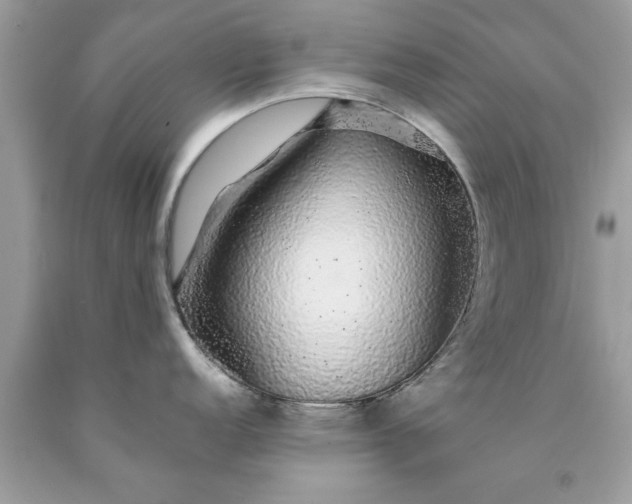 X0000090471152200707272253