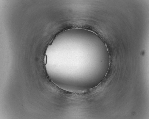 X0000090471153200707272252