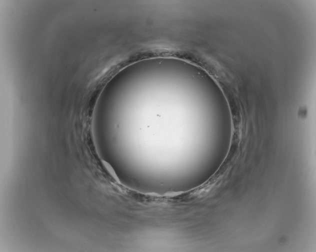 X0000090471157200707272252