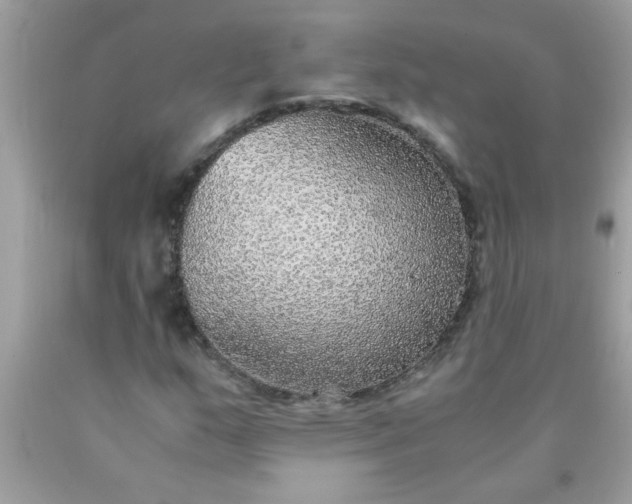 X0000090471159200707272252