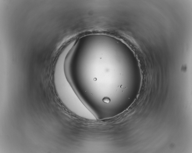 X0000090471160200707272252