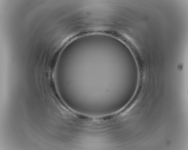 X0000090471161200707272252