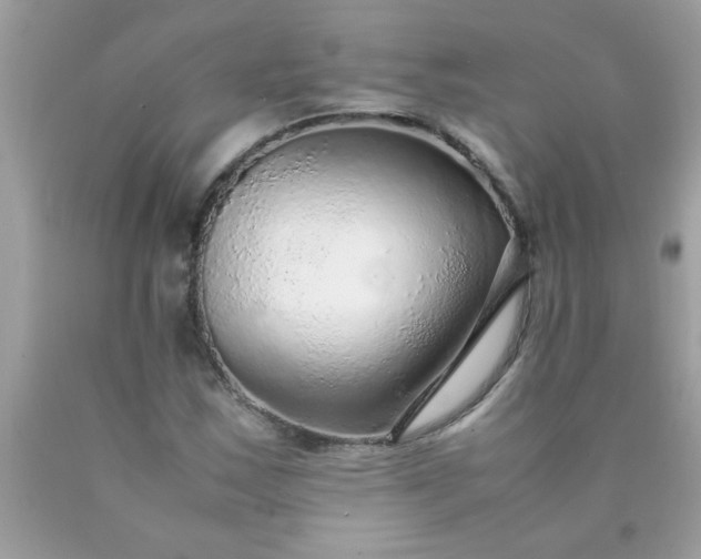 X0000090471163200707272252