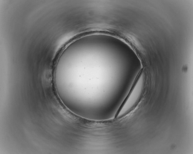 X0000090471164200707272252