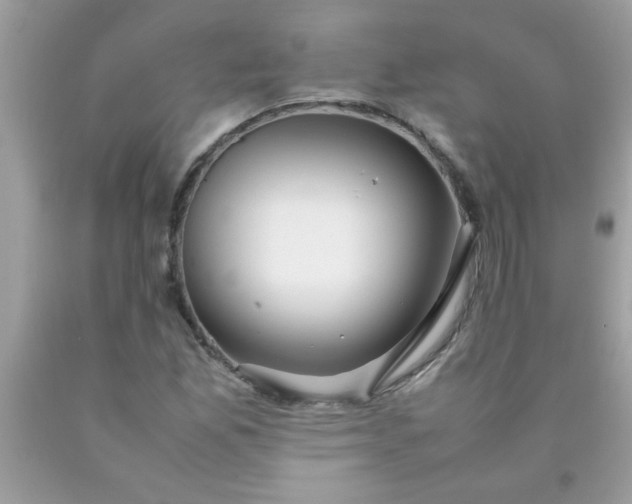 X0000090471165200707272252