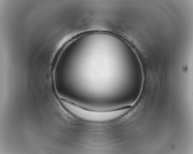 X0000090471168200707272252