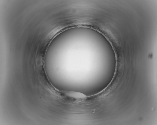 X0000090471169200707272252