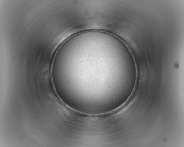 X0000090471170200707272252