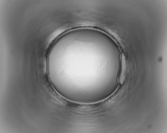 X0000090471171200707272252