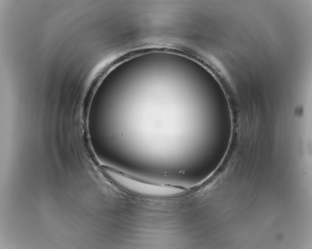 X0000090471172200707272252