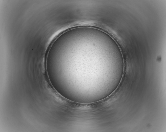 X0000090471174200707272252