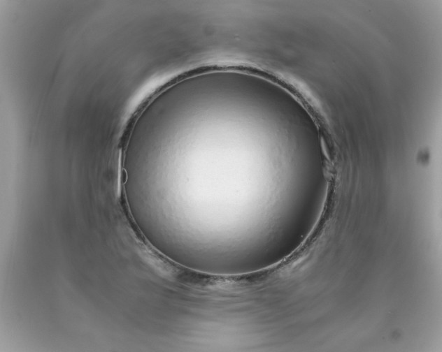 X0000090471175200707272252