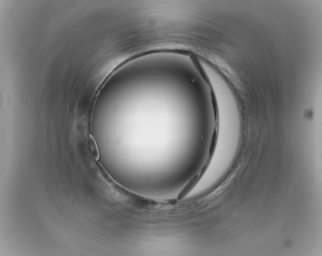 X0000090471177200707272252