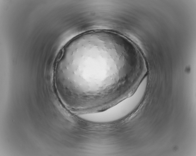 X0000090471179200707272251