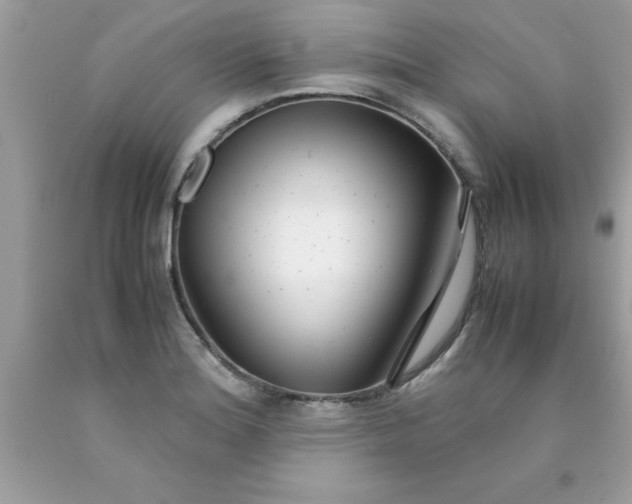 X0000090471180200707272251