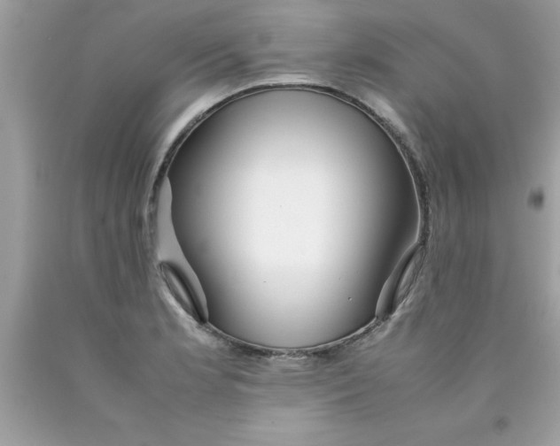 X0000090471181200707272251