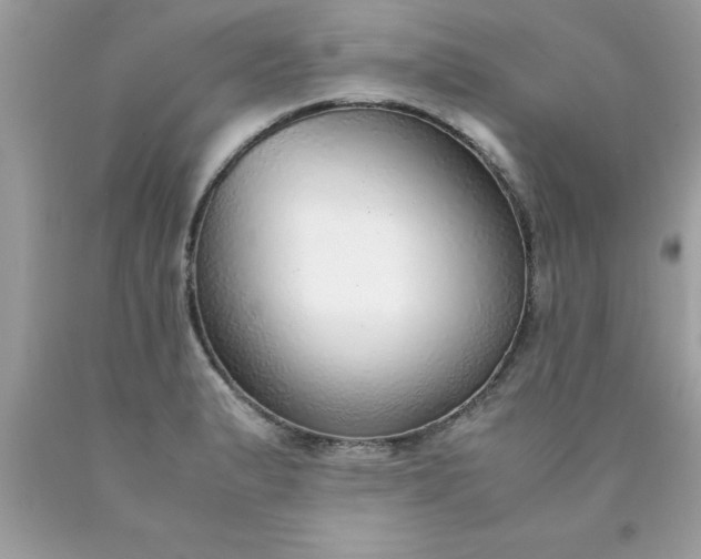 X0000090471183200707272251