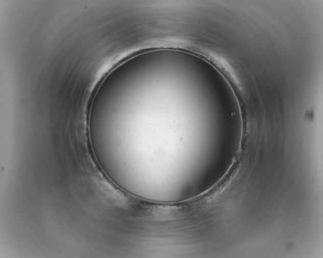 X0000090471184200707272251