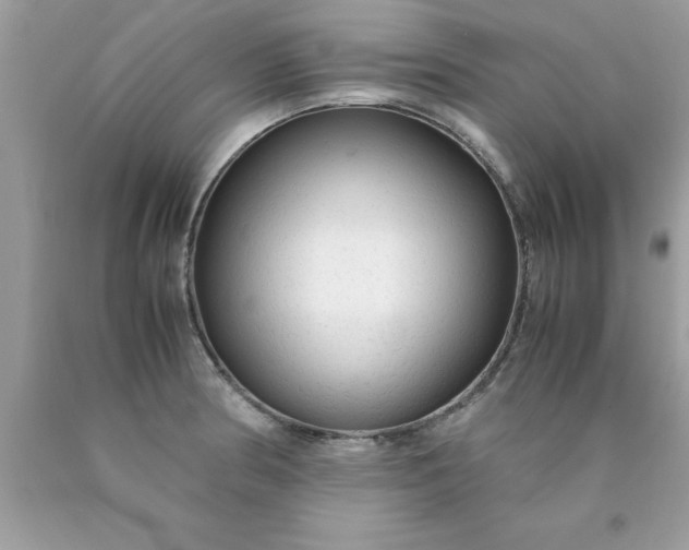 X0000090471186200707272251