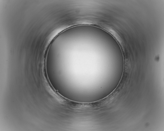 X0000090471187200707272251