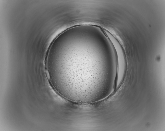 X0000090471189200707272251