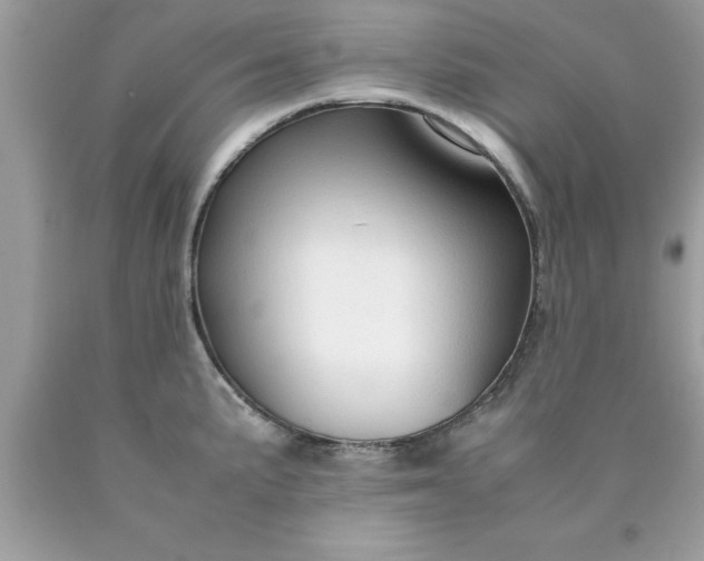 X0000090471191200707272251