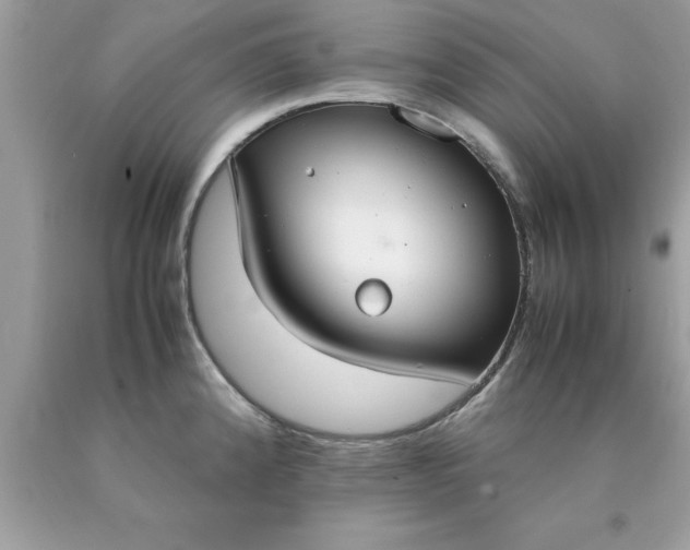 X0000090471192200707272251