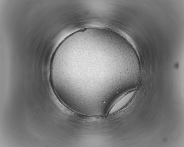 X0000090471195200707272251