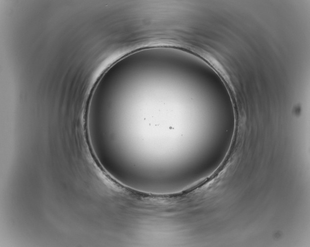 X0000090471197200707272251