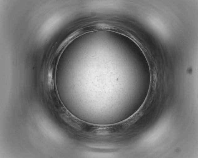 X0000090471198200707272251