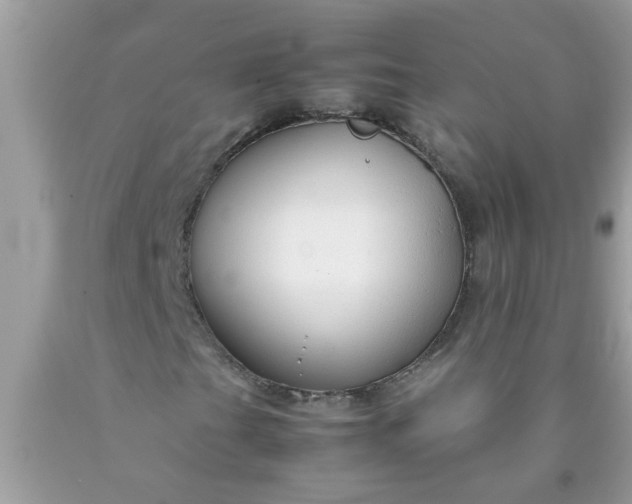 X0000090471201200707272250