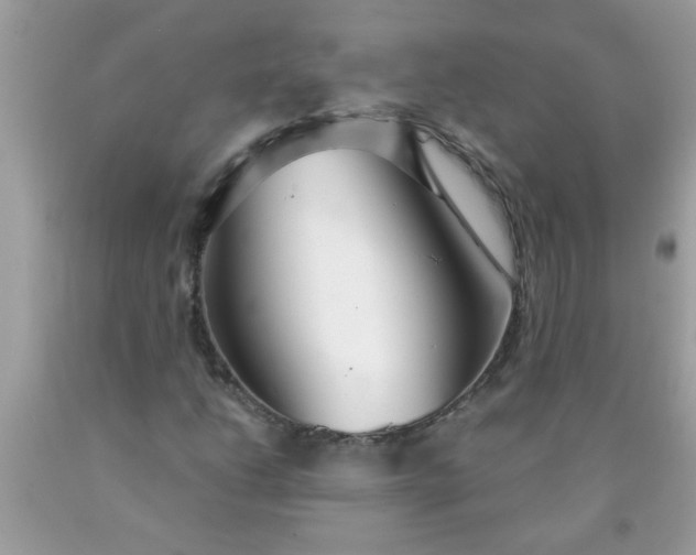 X0000090471206200707272250