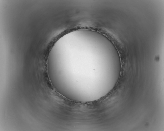 X0000090471207200707272250