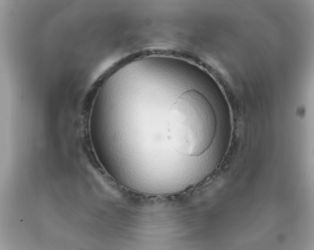 X0000090471208200707272250