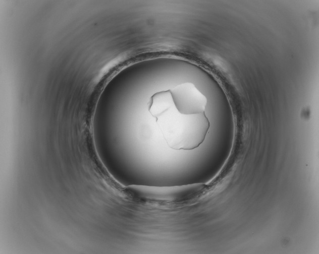 X0000090471210200707272250