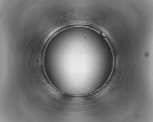 X0000090471212200707272250