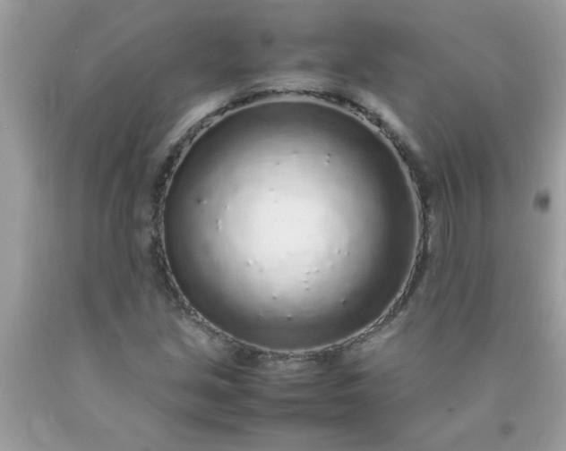 X0000090471213200707272250