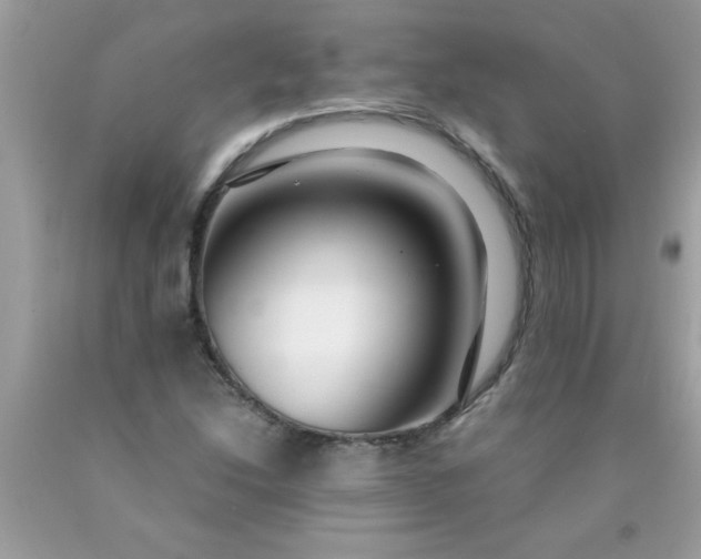 X0000090471214200707272250