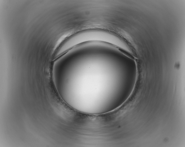 X0000090471218200707272250