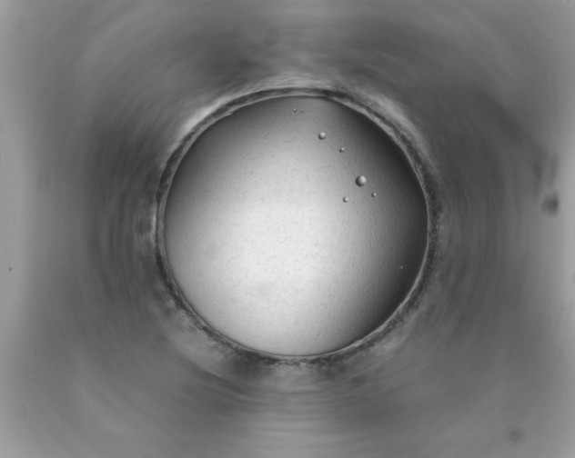 X0000090471220200707272251