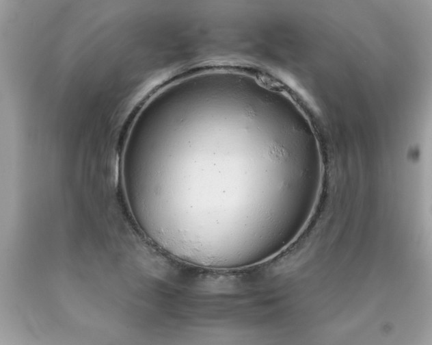 X0000090471221200707272251