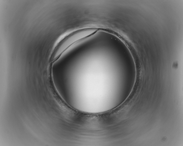 X0000090471222200707272251