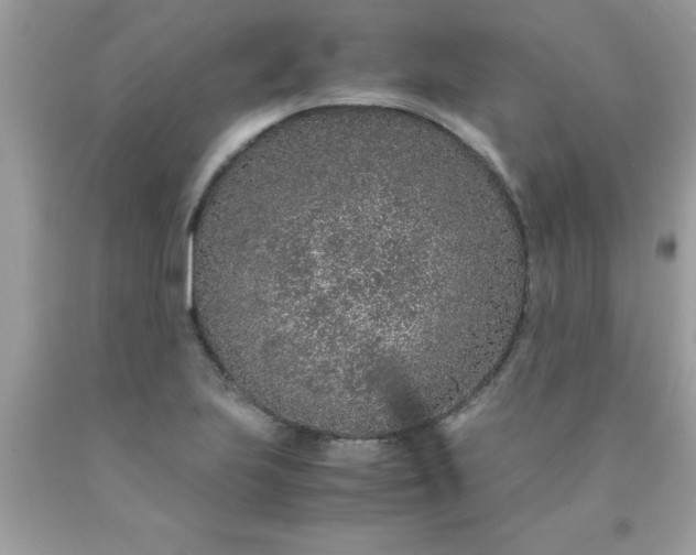 X0000090471223200707272251