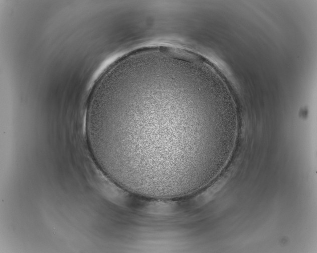 X0000090471224200707272251