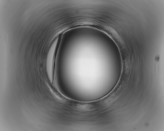 X0000090471225200707272251