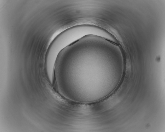 X0000090471226200707272251