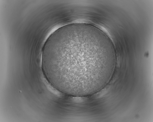 X0000090471227200707272251