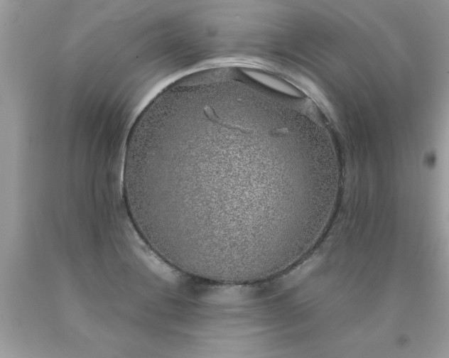 X0000090471228200707272251